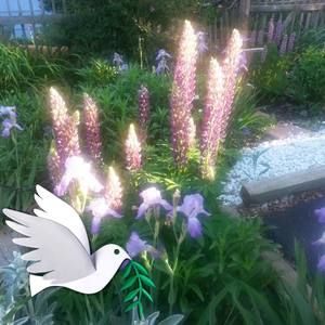 Meet your Posher, Bobbi